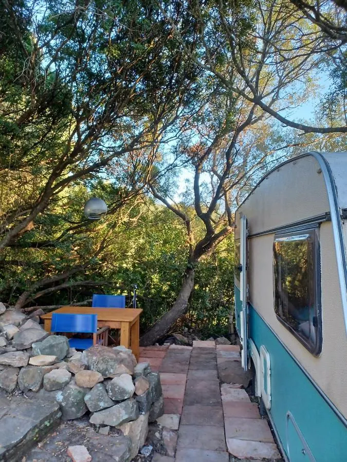Κάμπινγκ Camping En Molino Dorado Facinas Ισπανία