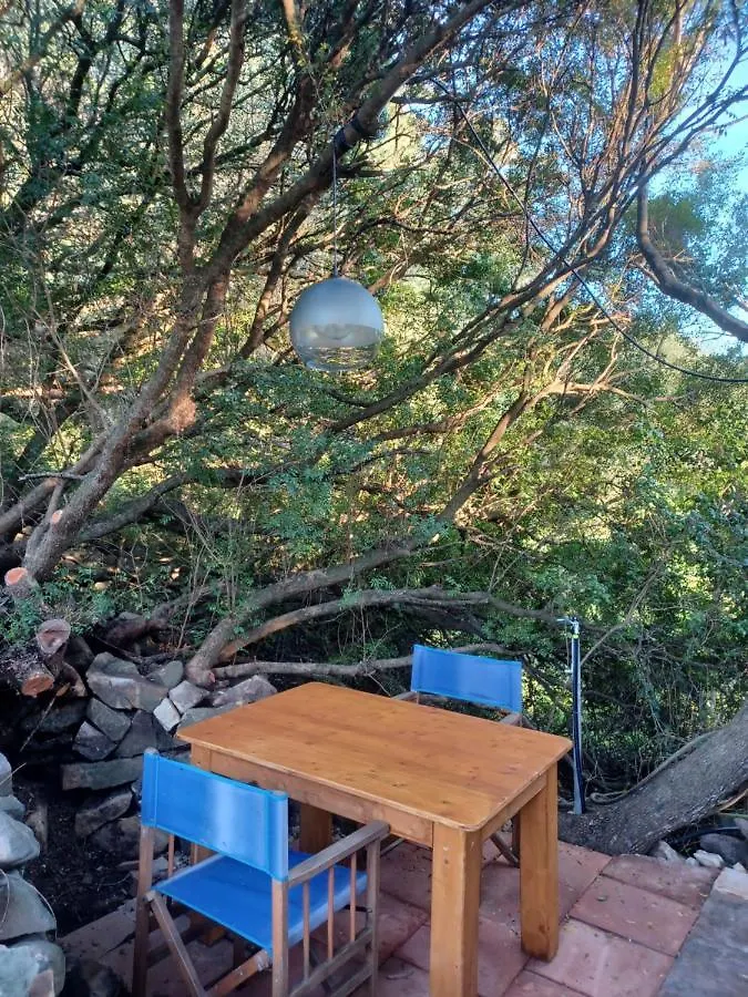 Camping En Molino Dorado Facinas