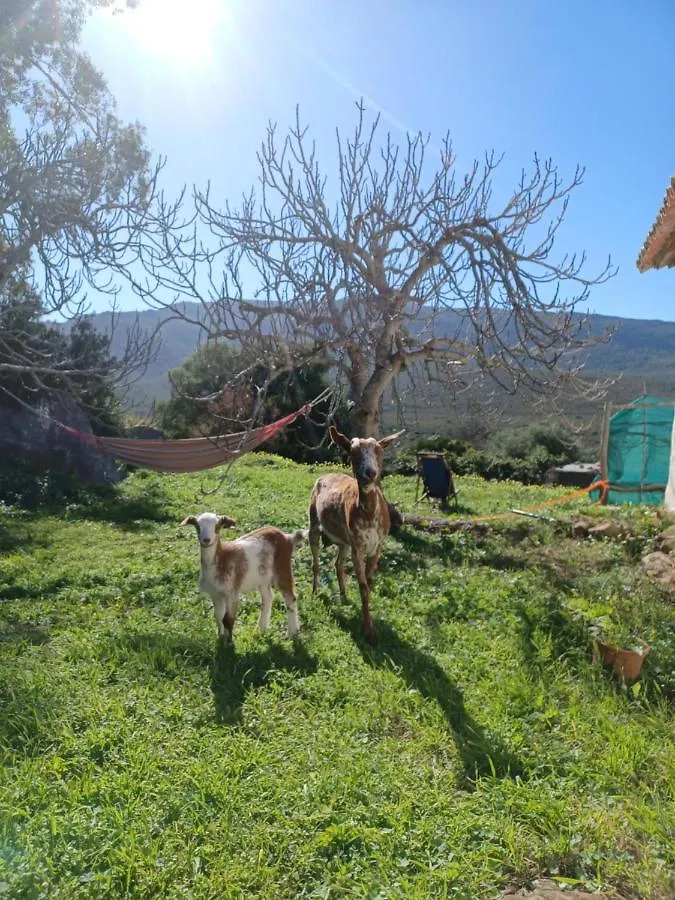 Camping En Molino Dorado Facinas 0*,