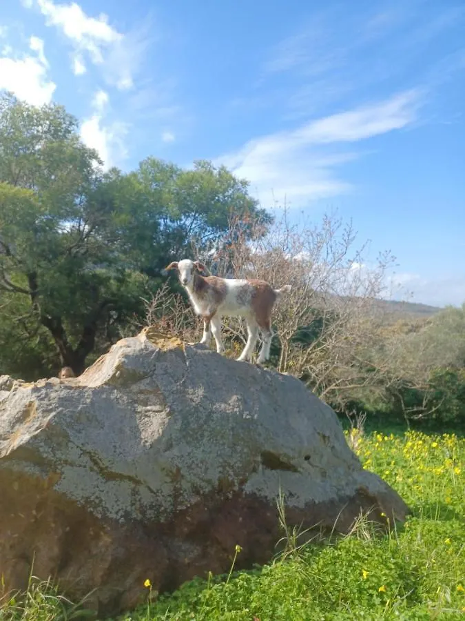 Camping En Molino Dorado Facinas