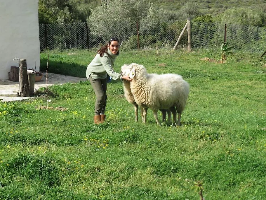 Κάμπινγκ Camping En Molino Dorado Facinas