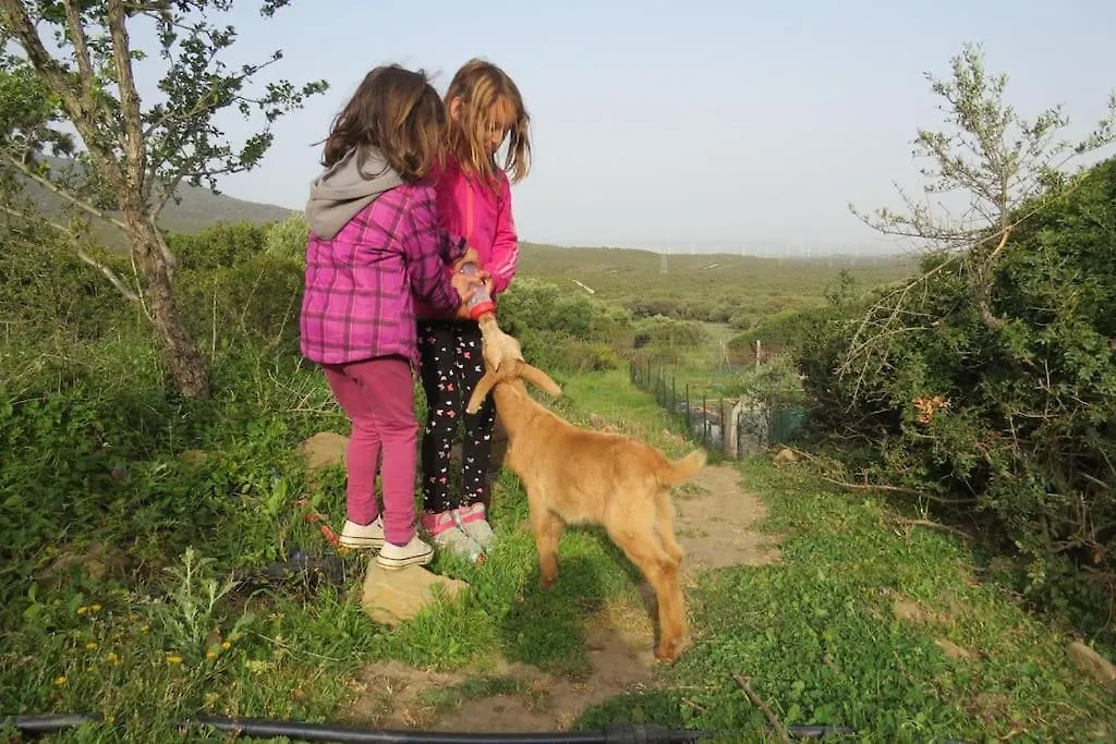 Κάμπινγκ Camping En Molino Dorado Facinas