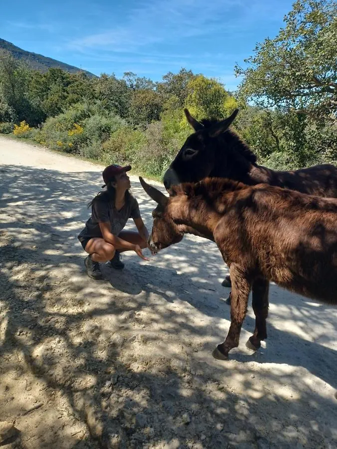 Camping En Molino Dorado Facinas Κάμπινγκ