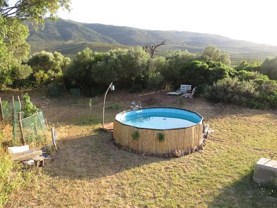 Camping En Molino Dorado Facinas