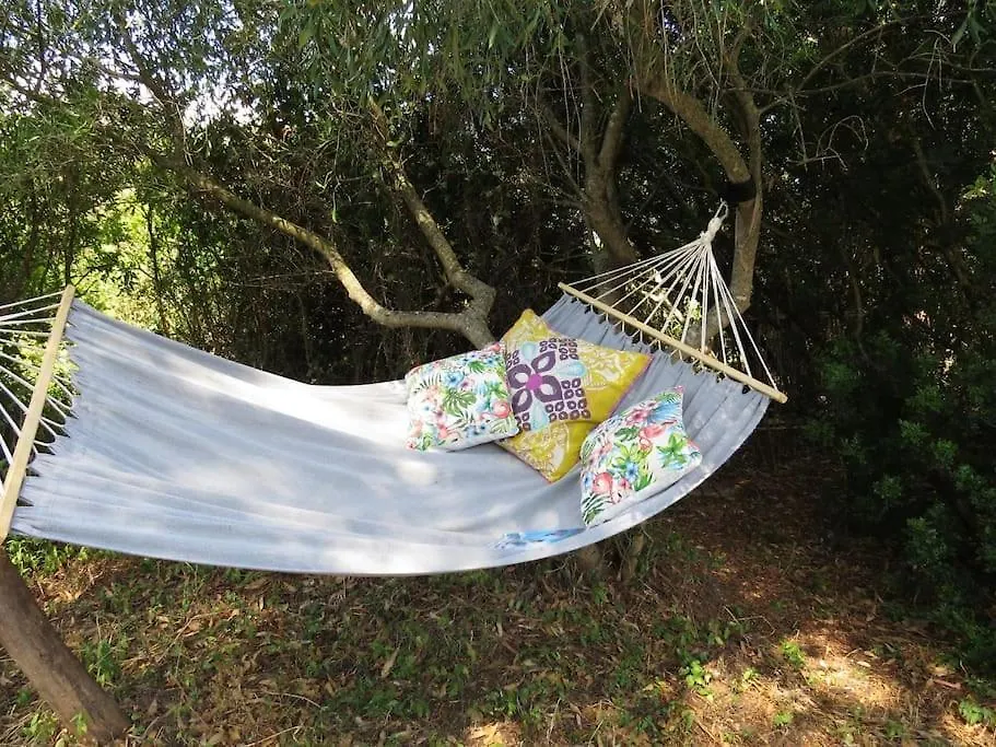 Camping En Molino Dorado Facinas Κάμπινγκ