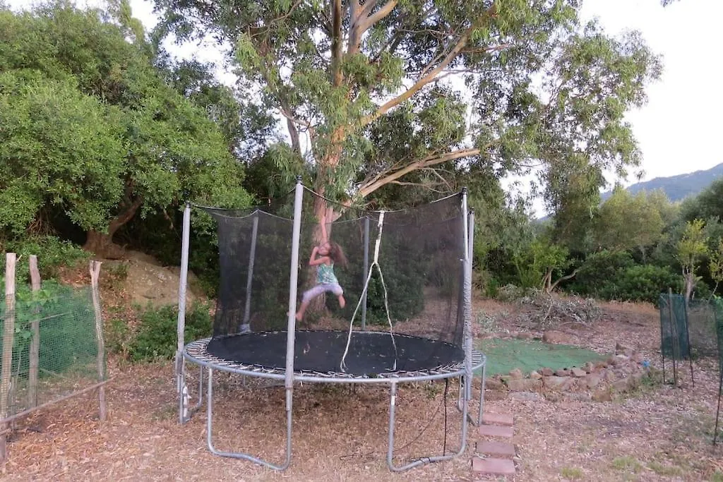 Camping En Molino Dorado Facinas