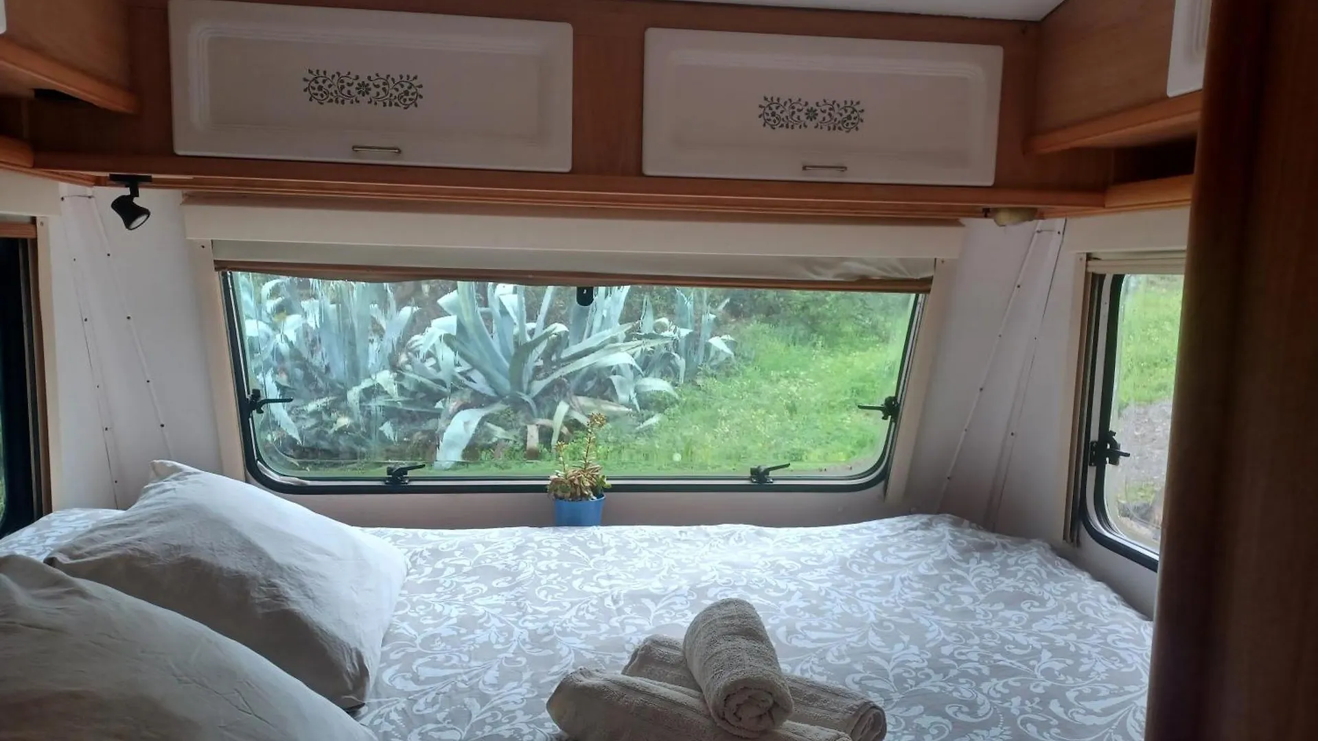 Κάμπινγκ Camping En Molino Dorado Facinas